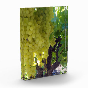 Bloc Photo Raisins De Sultana Sur Une Vigne De Raisin,