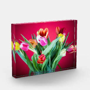 Bloc Photo Ressort de tulipe florale photo rouge et vert