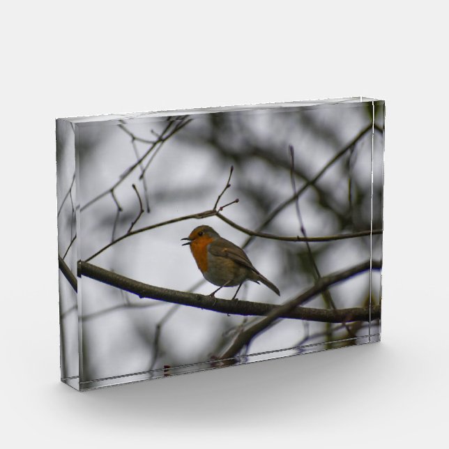 Bloc Photo Robin  (Gauche)