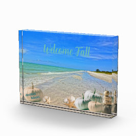 Bloc Photo Sanibel Island Florida Beach avec Citrouilles d'au