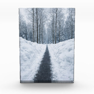 Bloc Photo Sentier forestier hivernal brumeux Affiche de pays
