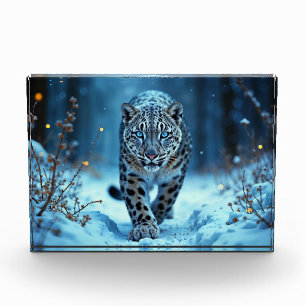 Bloc Photo Snow léopard hiver majestueux prédateur aux yeux b