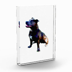Bloc Photo Staffordshire Bull Terrier Oil Paint,