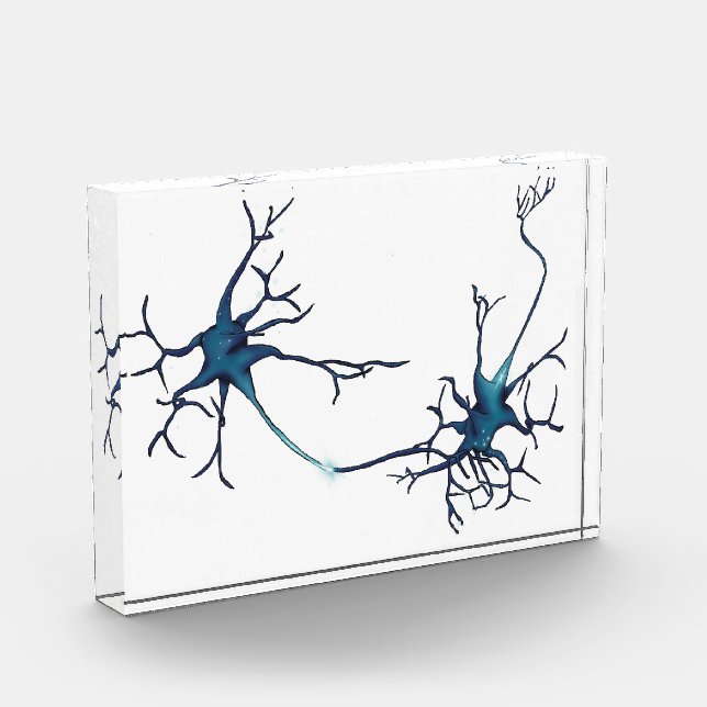Bloc Photo Synapse Entre Neurons, Neuroscience Neuron (Gauche)
