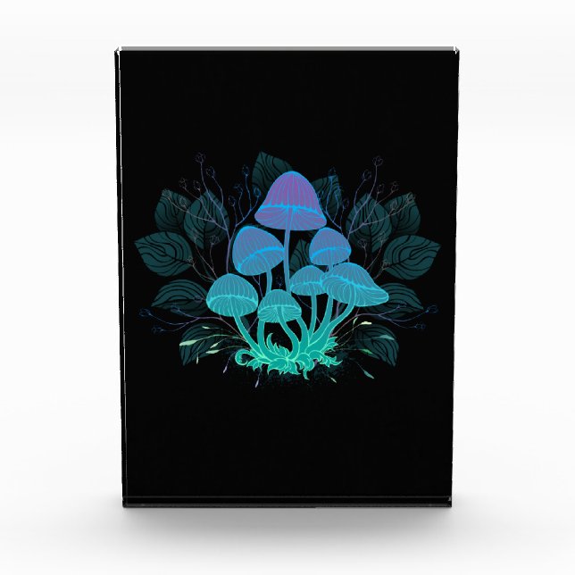 Bloc Photo Tabourets dans Bushes (Devant)