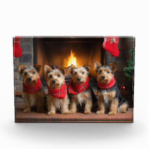 Bloc Photo Terrier australien près du feu Noël