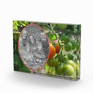 Bloc Photo Tomates de cerises de jardin Ajouter votre propre
