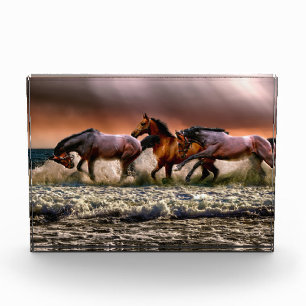 Bloc Photo Trois chevaux en cavale dans l'océan
