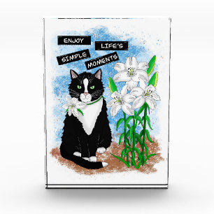 Bloc Photo Tuxedo Chat et Lilies   Devis inspirant