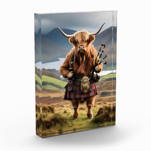 Bloc Photo Vache des Highlands écossais sonneur de cornemuse, (Gauche)