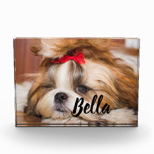 Bloc Photo Votre chiot chien animal de compagnie photo person