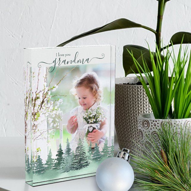 Bloc Photo Vous aimez la superposition de la forêt d'hiver de (Créateur téléchargé)