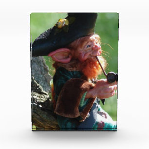 Bloc Photo vrai lutin