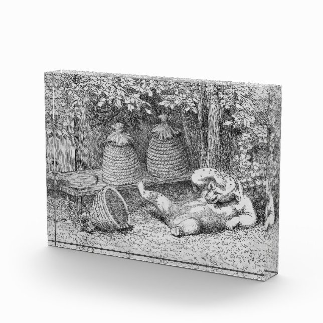 Bloc Photo William H. Beard - Bear Stung by Bees (Droite)