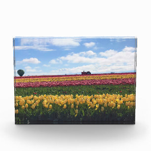 Bloc Photo Wooden Shoe Tulip Farm, Woodburn, Oregon