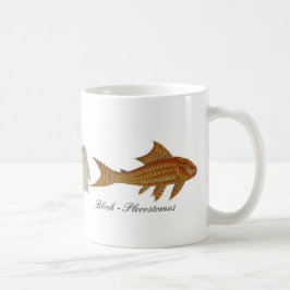 Bloch - Plecostomus Tasse