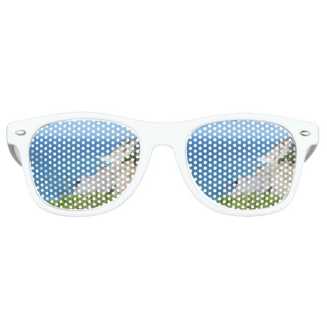 Block Island Bluffs - Block Island, Rhode Island Sonnenbrille (Vorderseite)