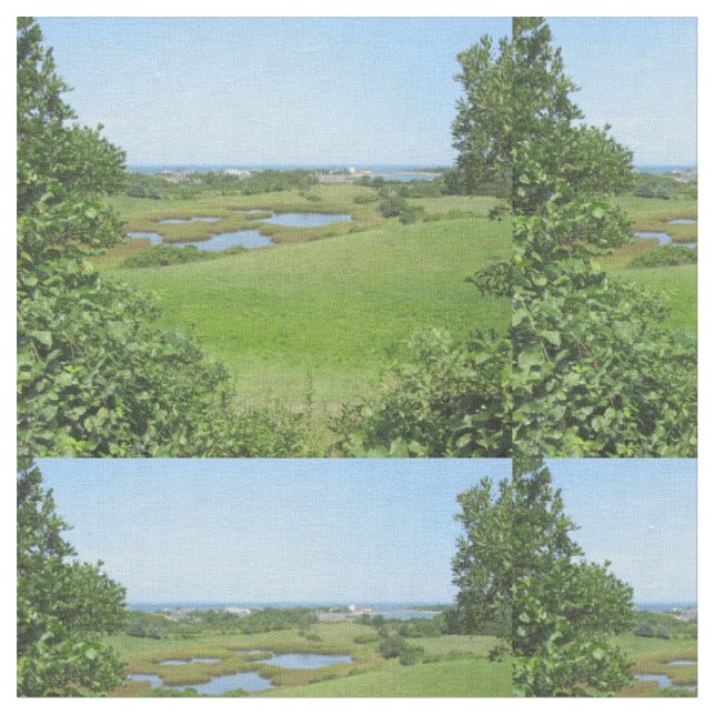 Block Island Champlin Road Meadow Stoff (Nahaufnahme)