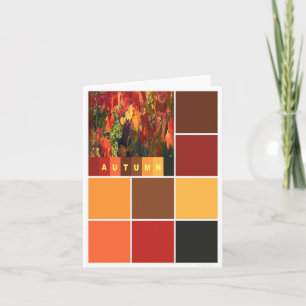 Blocs de couleurs d'automne