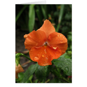 Blocs Raindrops Blank_Orange
