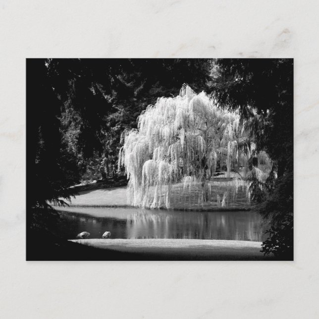 Bloedel Reserve Postkarte (Vorderseite)