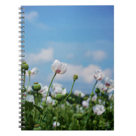 Bloeiend Papaver somneferum maanzaad bloemen. Notizblock