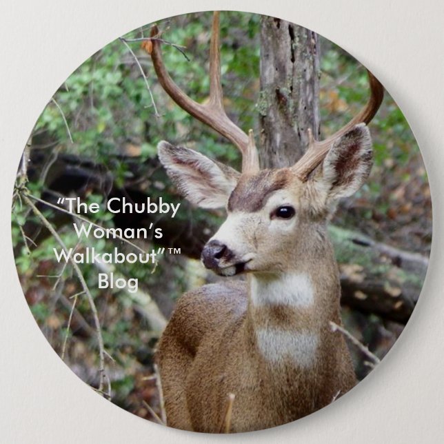Blogknopf ™ "der mollige Frau der Walkabout" Button (Vorderseite)