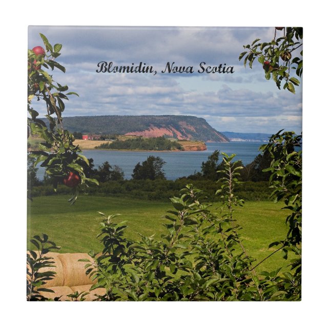 Blomidin, Nova Scotia, Kanada Fliese (Vorderseite)