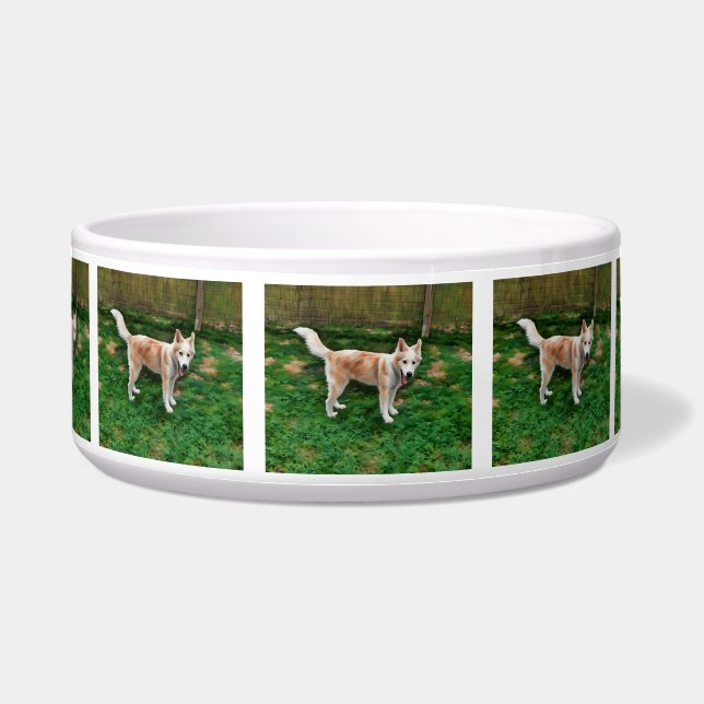 Blond Husky Girl Keramik Pet Bowl Napf (Vorderseite)