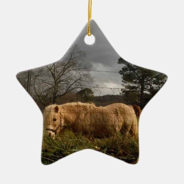 Blond Miniature Pony / Pferd Keramik Ornament (Vorne)