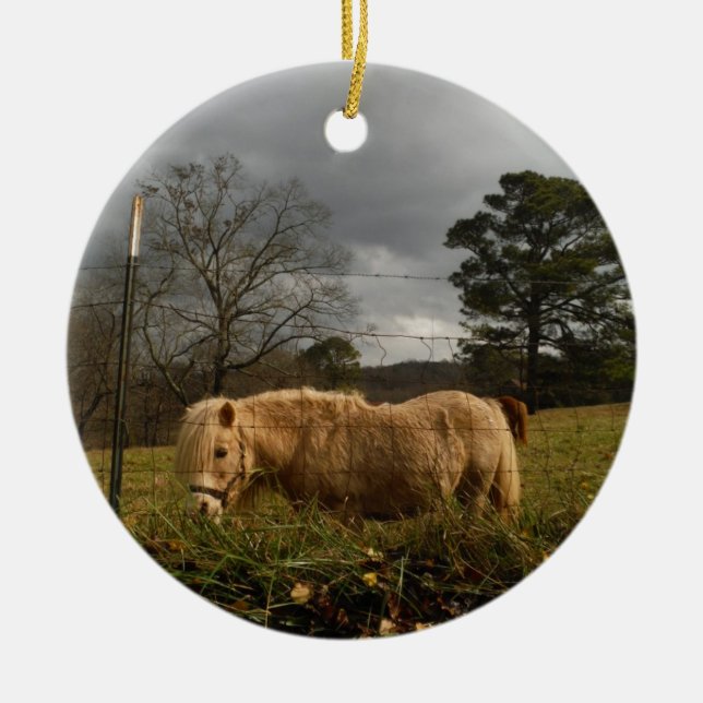 Blond Miniature Pony / Pferd Keramikornament (Vorne)