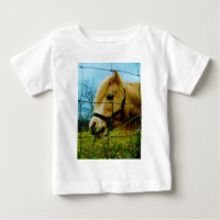 Blond Miniature Pony / Pferdeblauer Himmel