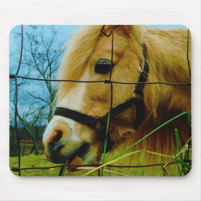 Blond Miniature Pony / Pferdeblauer Himmel Mousepad (Vorne)