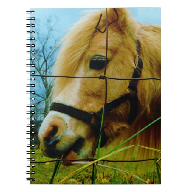 Blond Miniature Pony / Pferdeblauer Himmel Notizblock (Vorderseite)