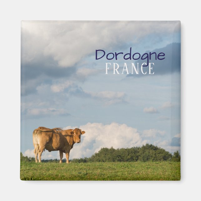 Blonde d'Aquitaine Kuh in der Region Dordogne, Fra Magnet (Vorne)