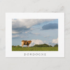 Blonde d'Aquitaine Kuh in der Region Dordogne, Fra Postkarte