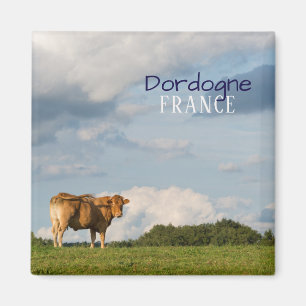 Blonde d'Aquitaine Kuh in Dordogne-Region, Magnet