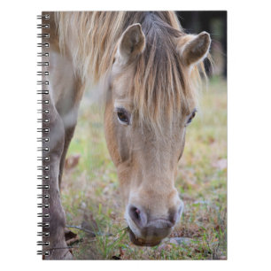 Blonde Horse Notebook Notizblock