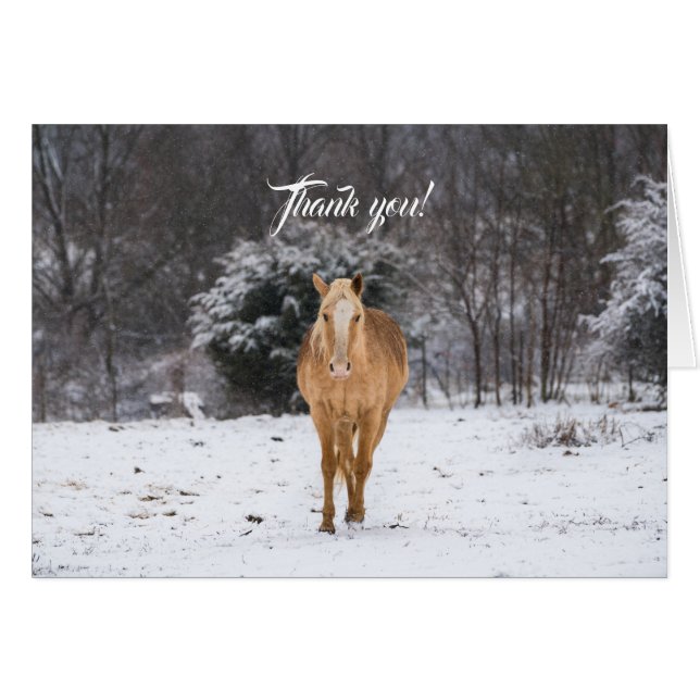 Blonde Pferde Spaziergang im Schnee Danke Karte (Vorderseite (Horizontal))