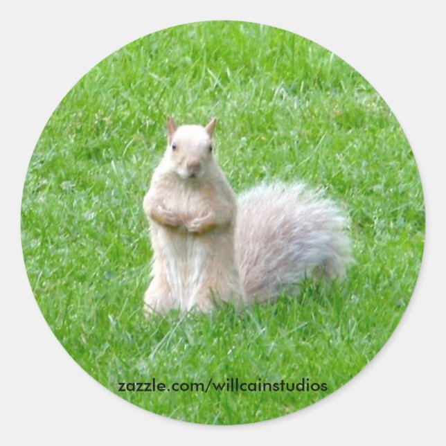 Blonde Runder Aufkleber (Vorderseite)