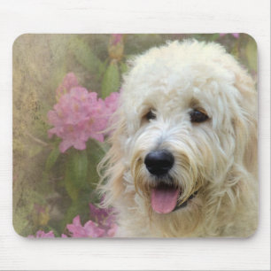 Blondelle im Garten Mousepad