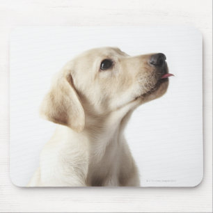 Blonder Labrador-Welpe, der heraus Zunge haftet Mousepad