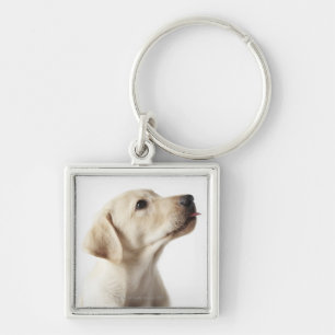 Blonder Labrador-Welpe, der heraus Zunge haftet Schlüsselanhänger