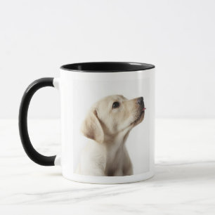 Blonder Labrador-Welpe, der heraus Zunge haftet Tasse