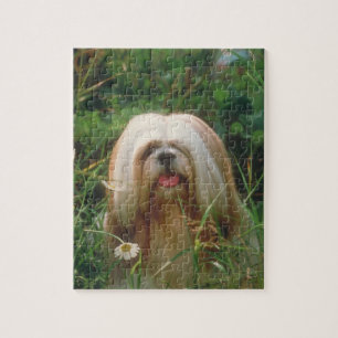 Blondes Hundepuzzlespiel Lhasas Apso