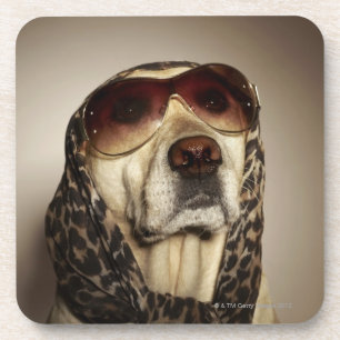 Blondes Labrador retriever, das Sonnegläser träg Untersetzer