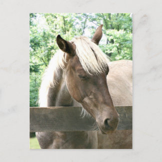 Blondie Postkarte