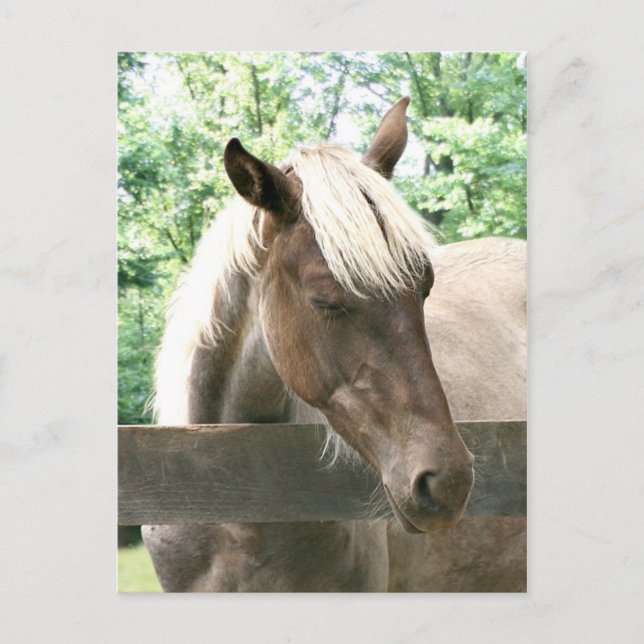 Blondie Postkarte (Vorderseite)