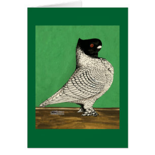 Blondinette Frill Pigeon