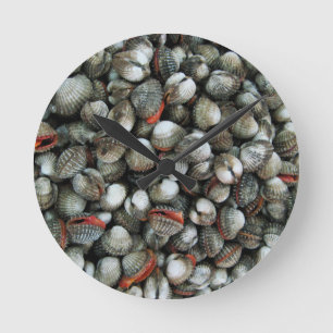 Blood Cockle Shells Runde Wanduhr